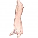 Свинина у півтушах обезжирена Купити гуртом (оптом) | Територія М‘яса